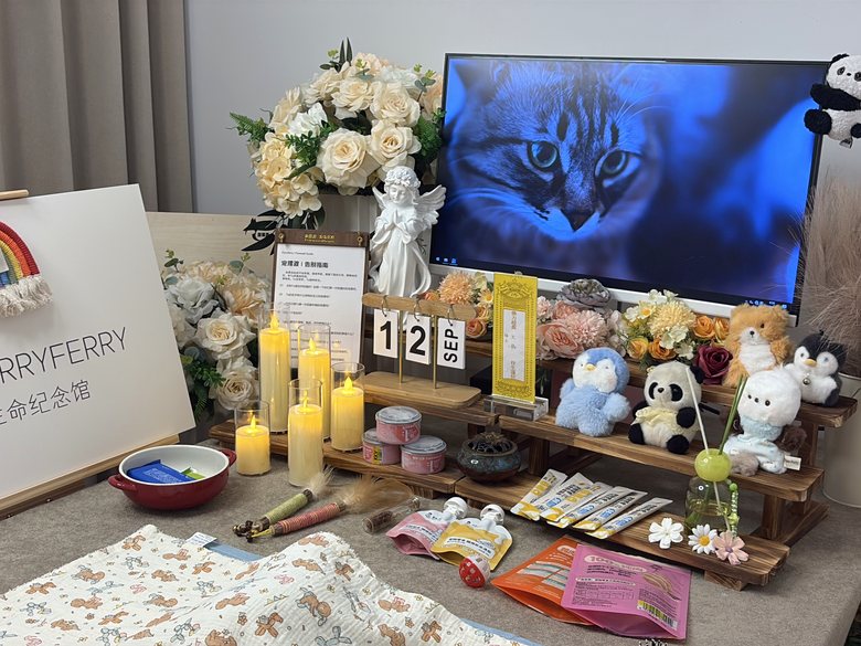 宠物爪印留念与纪念品定制